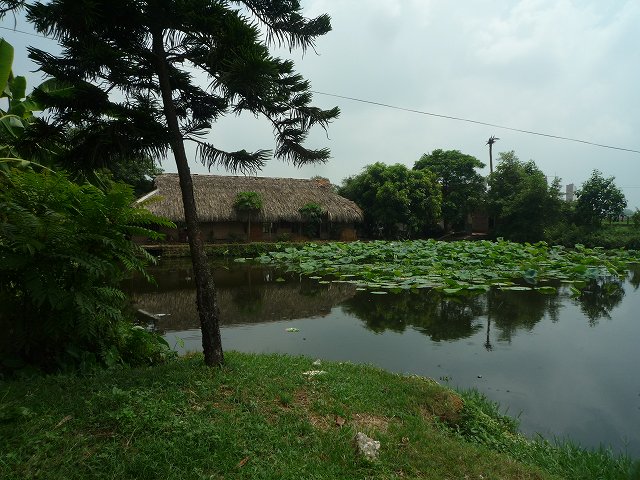 b0287088_20465817.jpg