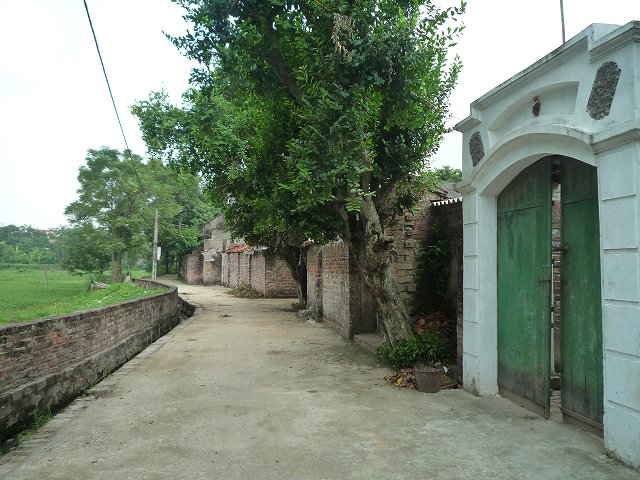 b0287088_21658.jpg