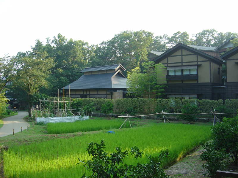 e0161692_014983.jpg