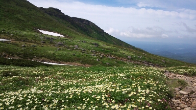 f0297492_85275.jpg