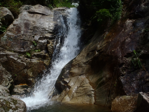  那珂川水系　井戸沢_c0206900_11534231.jpg