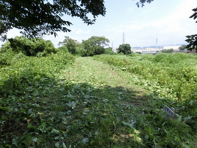 ジヤトコさんも本格参加? 本年度2回目の滝川の草刈り清掃_f0141310_6461931.jpg