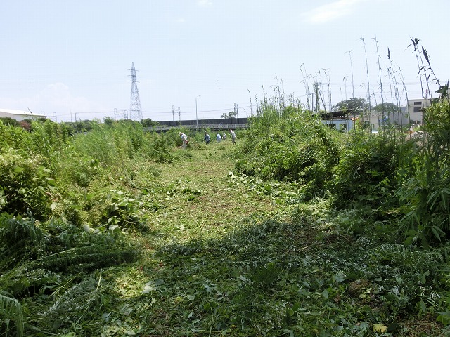 ジヤトコさんも本格参加? 本年度2回目の滝川の草刈り清掃_f0141310_6473098.jpg