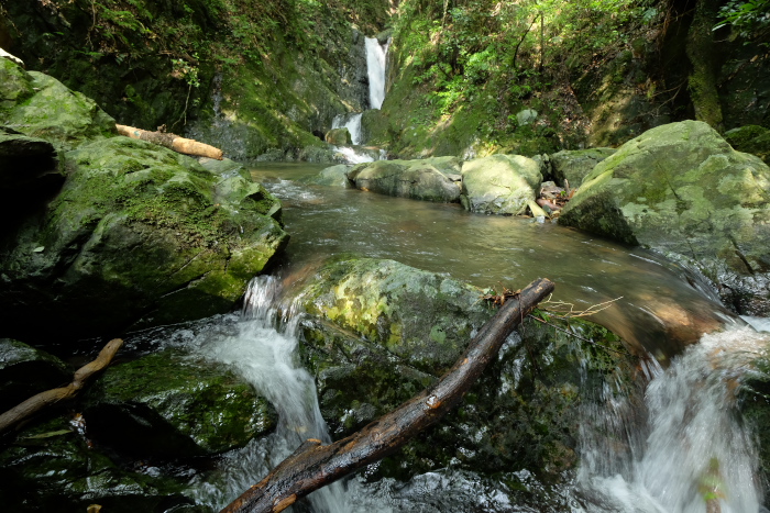 f0218012_10291553.jpg