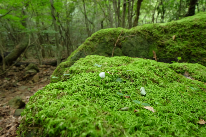 f0218012_10302516.jpg