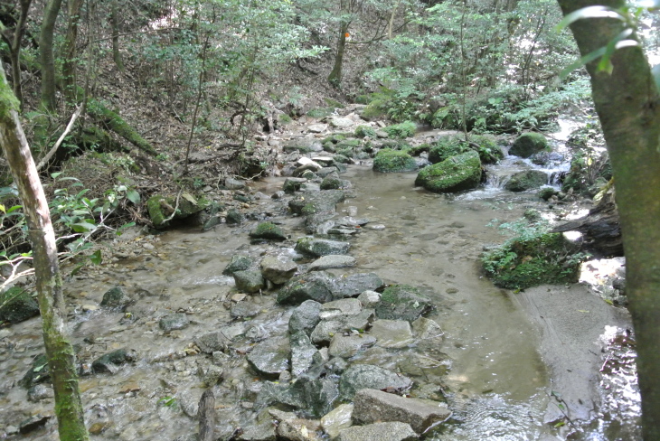 b0291016_23015752.jpg