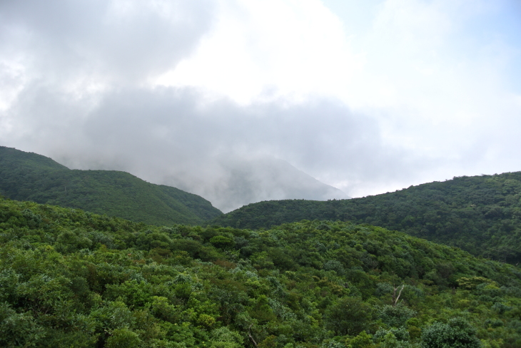 b0291016_23040927.jpg
