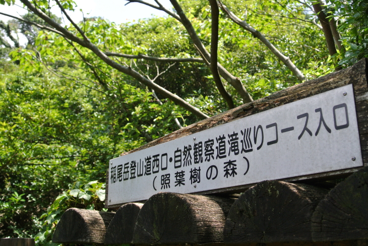 b0291016_23064906.jpg