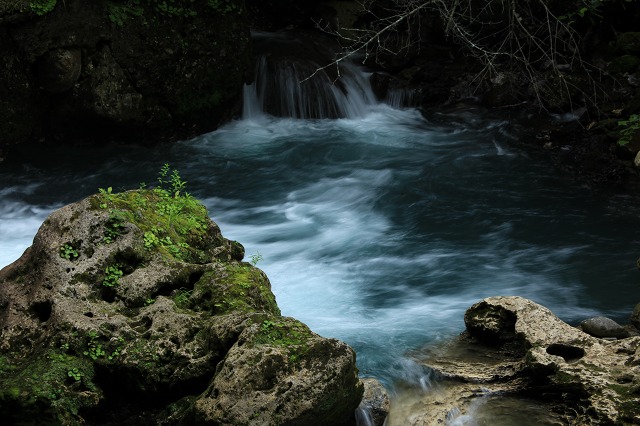 e0242721_10365422.jpg