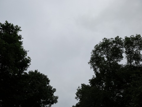 d0227723_22501348.jpg