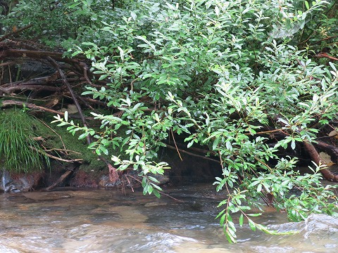 d0227723_22501577.jpg