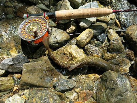 d0227723_22502641.jpg