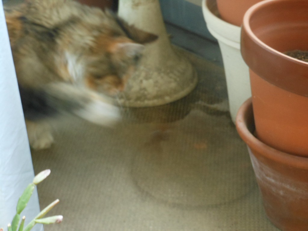 e0240925_11214059.jpg