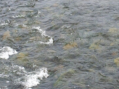 c0266737_67495.jpg