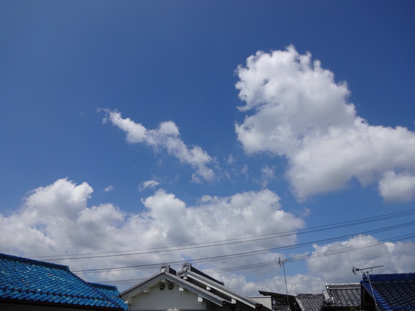 c0264343_23133737.jpg
