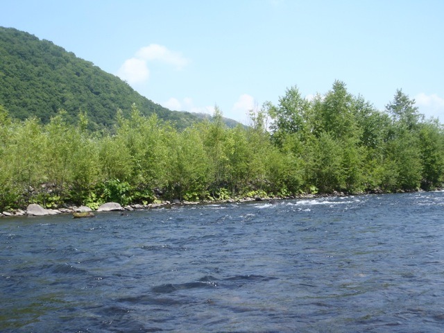 e0202845_190541.jpg