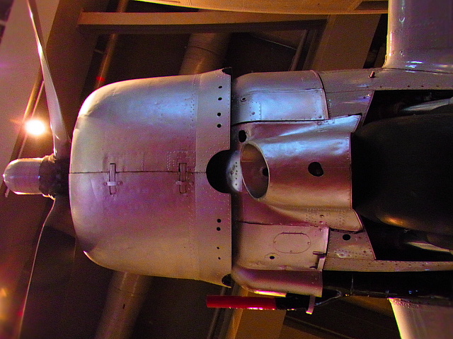 e0118346_3135253.jpg