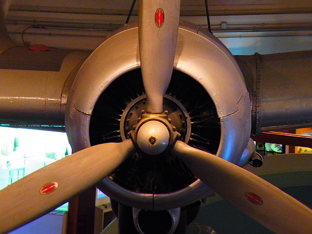 e0118346_314312.jpg