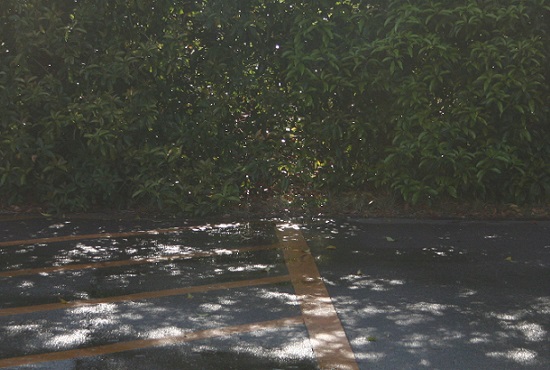 e0126350_1133453.jpg