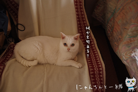 新しいミッション_e0031853_17585640.jpg