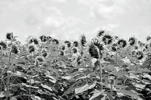 c0297854_20163890.jpg
