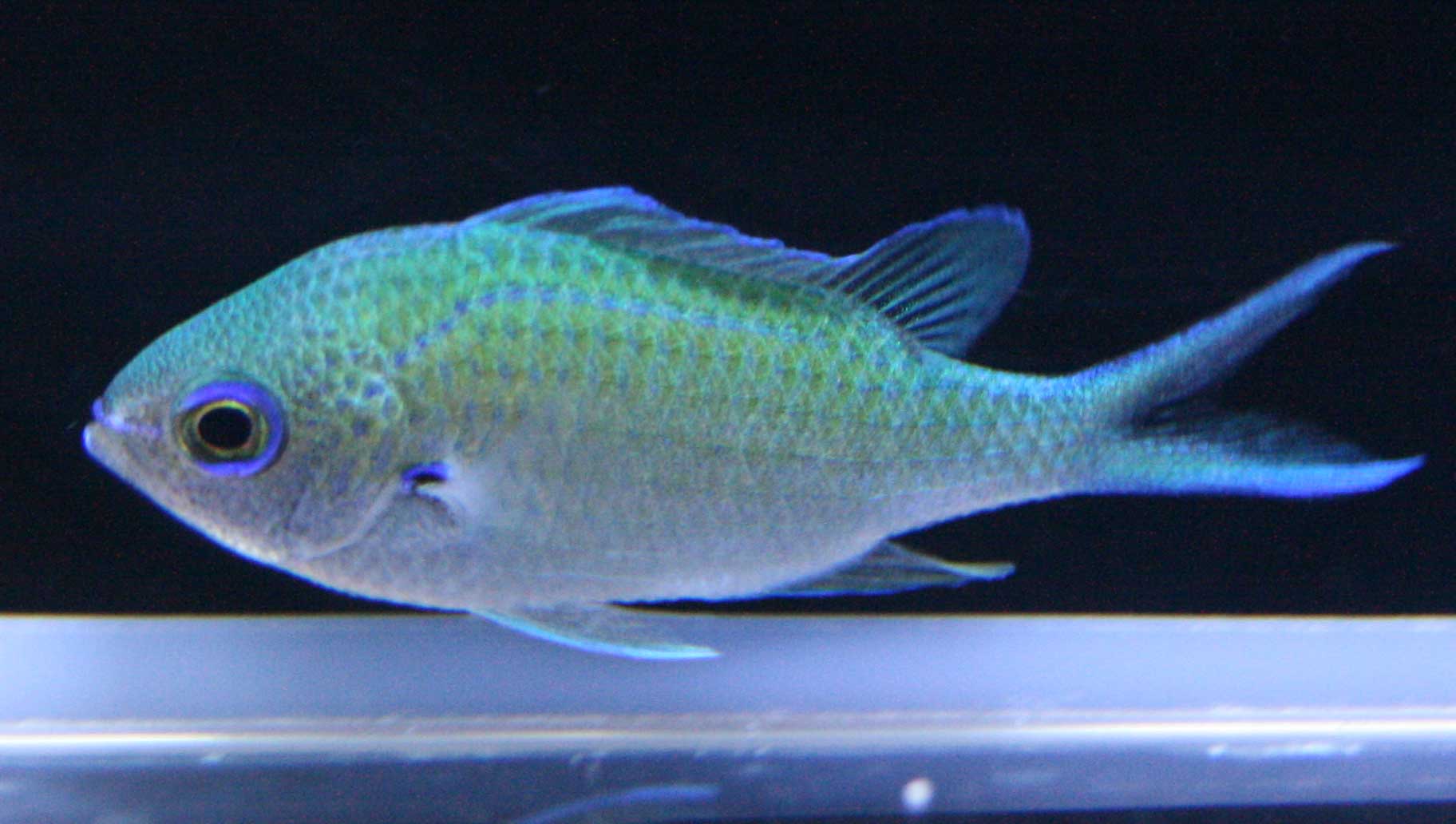 a0162261_20381097.jpg