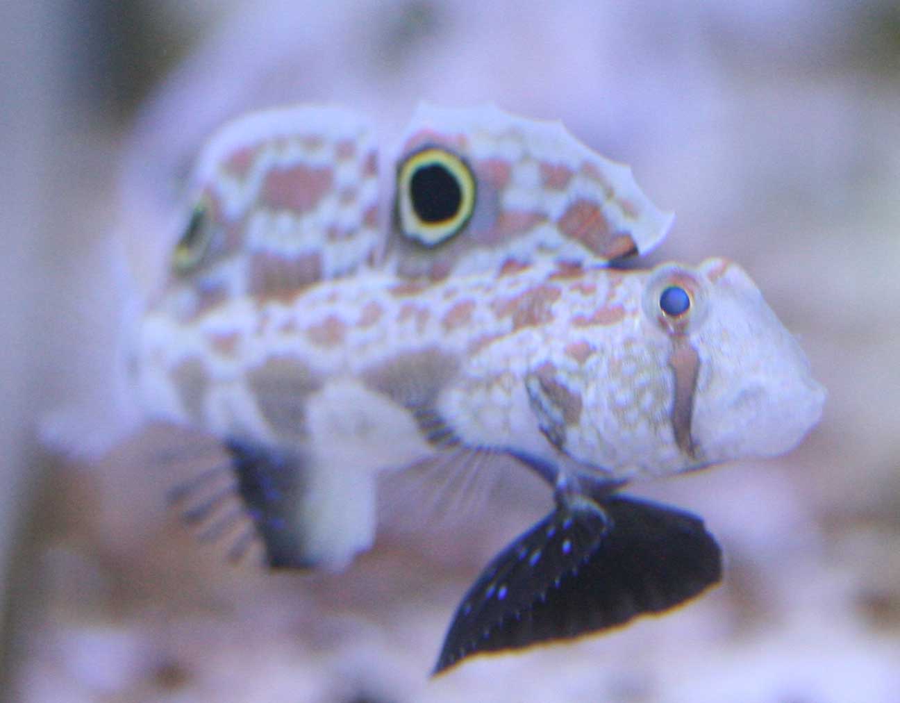 a0162261_20593290.jpg