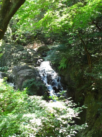 a0243064_16462301.jpg