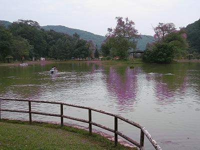 本別産肉まつりに１４００人_b0171771_04433793.jpg