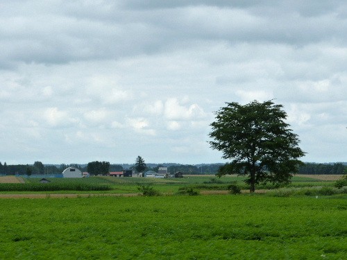 d0084473_21193910.jpg