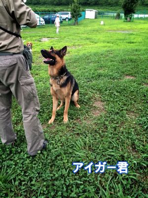 梅雨が明けました！_f0230380_22572312.jpg