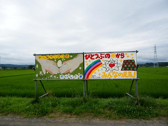 7月24日の田んぼ(緑ヶ丘小・北郷小)_d0247484_8303456.jpg