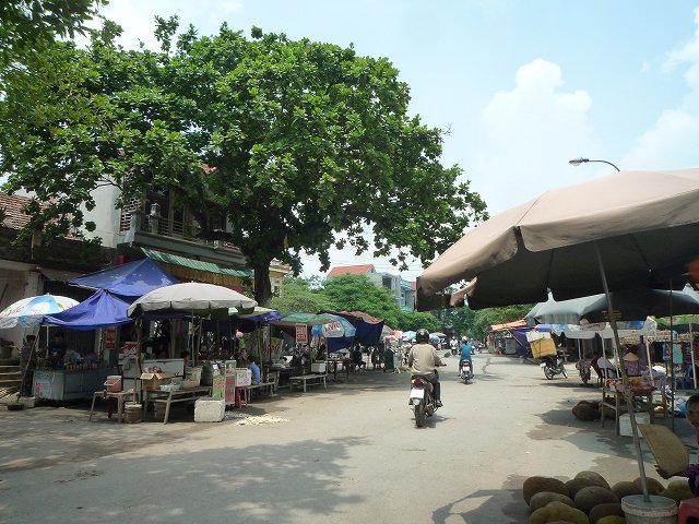 b0287088_17324127.jpg