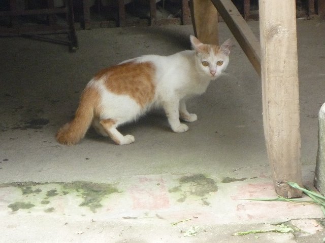 b0287088_1741091.jpg