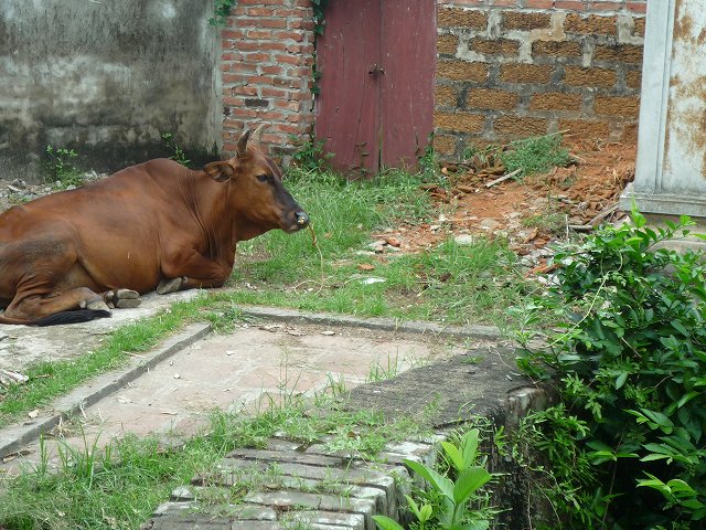 b0287088_20555483.jpg