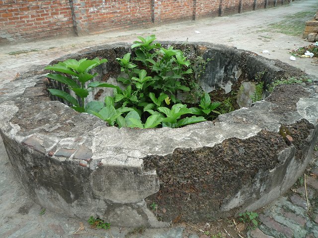 b0287088_20565850.jpg