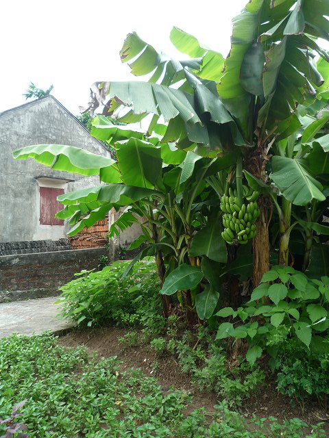 b0287088_20573173.jpg