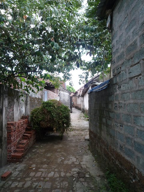 b0287088_212157.jpg