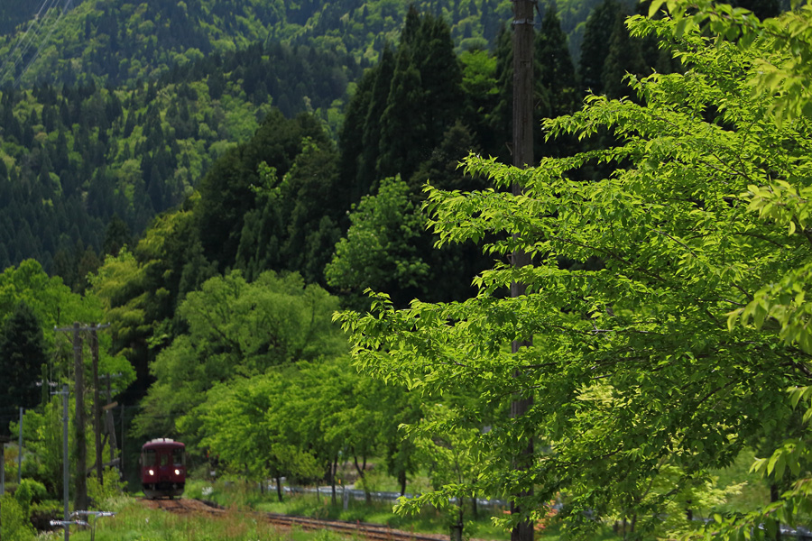 14.05.18：続・夏日の好日は長良川鉄道撮り鉄で５－完_c0007190_1932297.jpg