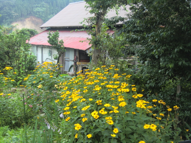 蒜山高原休暇村・二泊三日ののんびり旅行②_b0044296_953089.jpg