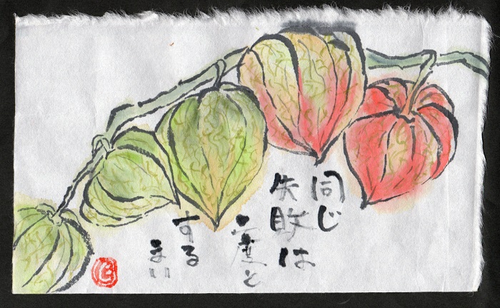 お盆には欠かせない鬼灯 絵手紙グッドタイミング