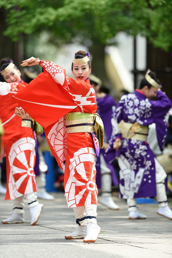 第8回よさこい祭り in 光が丘公園「舞華」_f0184198_024679.jpg