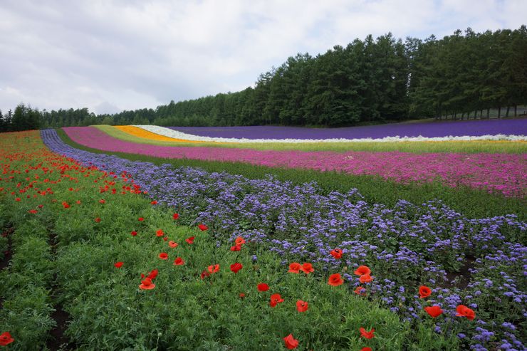 北海道珍道中　PART 3_b0220099_823993.jpg