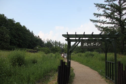 a0123003_7433059.jpg