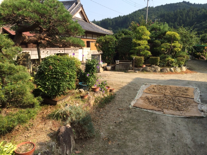 ばあちゃんちに行って懐かしい気持ちになったー 新ちゃんねる Stonybrook