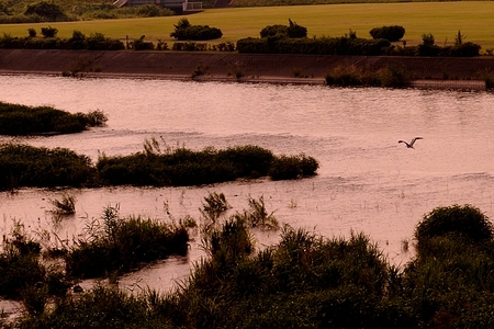 a0017909_2314774.jpg