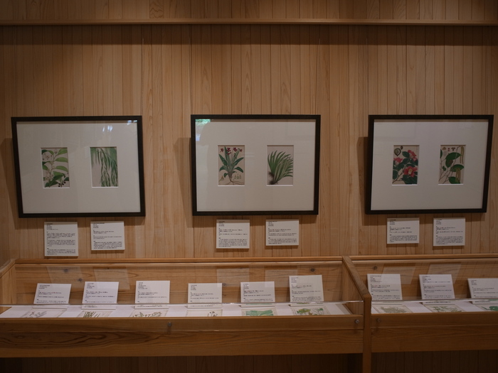 牧野記念庭園_e0276411_2014895.jpg