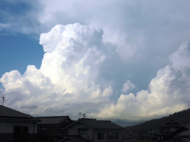 b0057612_17273815.jpg