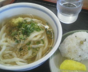 今日のうどん_b0005814_21365291.jpg