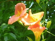 f0357714_17112002.jpg
